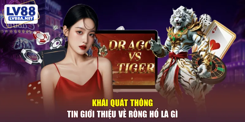 Khái quát thông tin giới thiệu về rồng hổ là gì